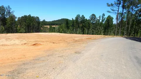101 Hugh White State Park Rd, Grenada, MS 38901 photo 5