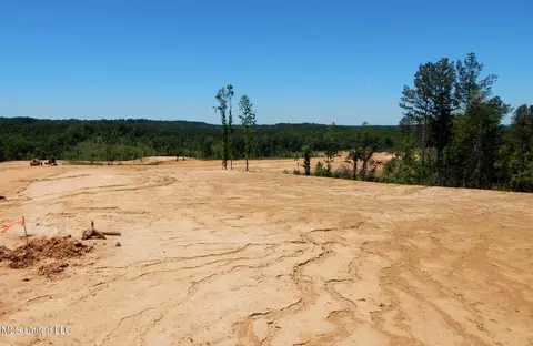 101 Hugh White State Park Rd, Grenada, MS 38901 photo 7