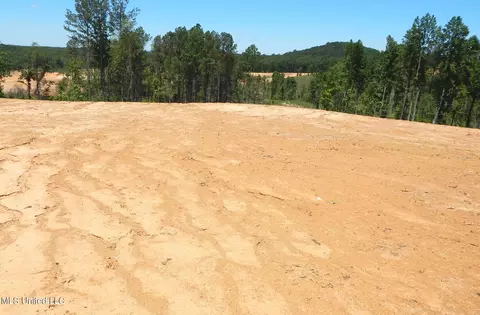 101 Hugh White State Park Rd, Grenada, MS 38901