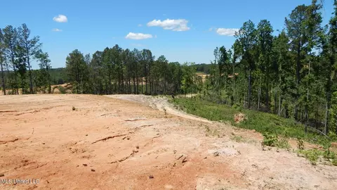 101 Hugh White State Park Rd, Grenada, MS 38901 photo 6