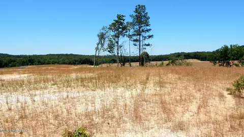 102 Hugh White State Park Rd, Grenada, MS 38901