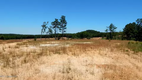 102 Hugh White State Park Rd, Grenada, MS 38901 photo 4