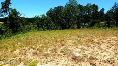 102 Hugh White State Park Rd, Grenada, MS 38901 photo 2