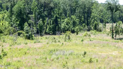 104 Hugh White State Park Rd, Grenada, MS 38901 photo 10