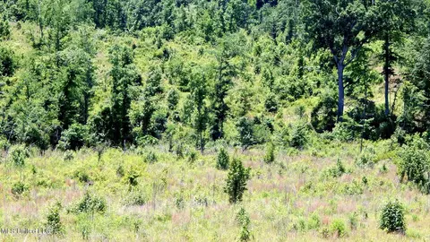 104 Hugh White State Park Rd, Grenada, MS 38901 photo 5