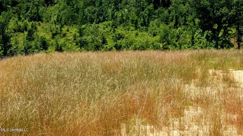104 Hugh White State Park Rd, Grenada, MS 38901