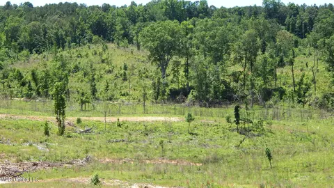 104 Hugh White State Park Rd, Grenada, MS 38901 photo 6