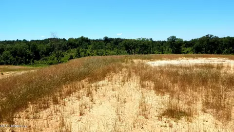 104 Hugh White State Park Rd, Grenada, MS 38901 photo 3