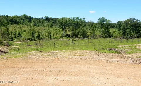 104 Hugh White State Park Rd, Grenada, MS 38901 photo 7