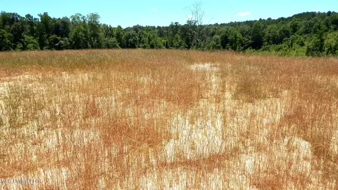 104 Hugh White State Park Rd, Grenada, MS 38901 photo 2