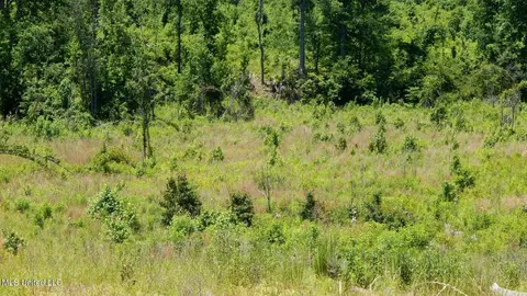 104 Hugh White State Park Rd, Grenada, MS 38901 photo 4