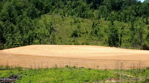 105 Hugh White State Park Rd, Grenada, MS 38901 photo 8
