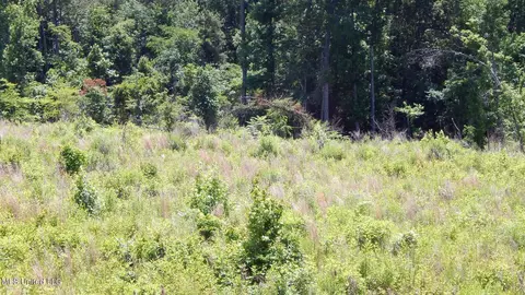 105 Hugh White State Park Rd, Grenada, MS 38901 photo 4