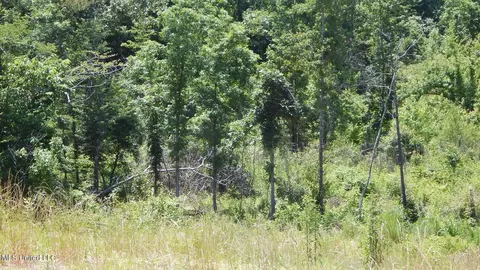 105 Hugh White State Park Rd, Grenada, MS 38901 photo 5
