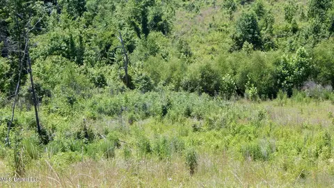 105 Hugh White State Park Rd, Grenada, MS 38901 photo 7