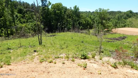 806 Hugh White State Park Rd, Grenada, MS 38901 photo 3