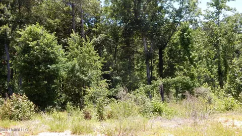 806 Hugh White State Park Rd, Grenada, MS 38901 photo 11