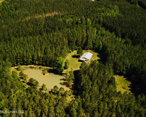 6098 Wroten Rd, Smithdale, MS 39664