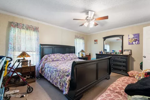 590 Mays Rd, Coldwater, MS 38618 photo 11