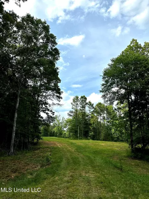 1204 Robinson Rd, Canton, MS 39046 photo 7