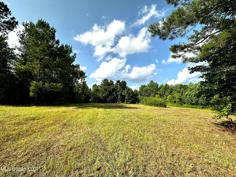 1204 Robinson Rd, Canton, MS 39046 photo 13