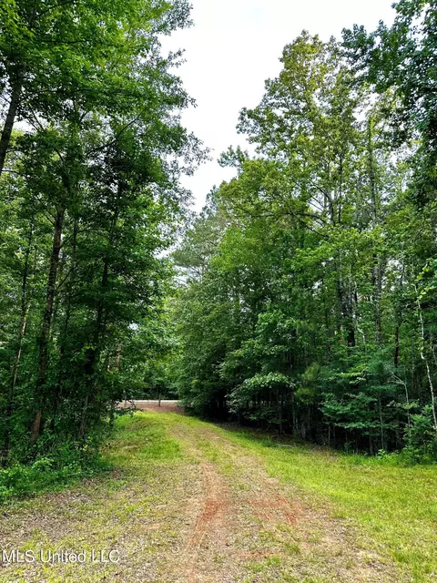 1204 Robinson Rd, Canton, MS 39046 photo 9