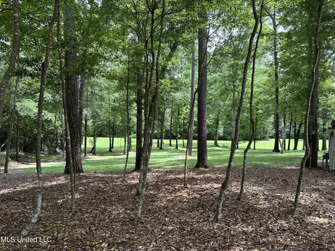 2627 Fords Creek Rd, Poplarville, MS 39470