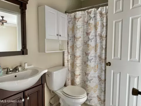 Bath - 215 Lakebend Cir, Brandon, MS 39042 photo 2 of 2