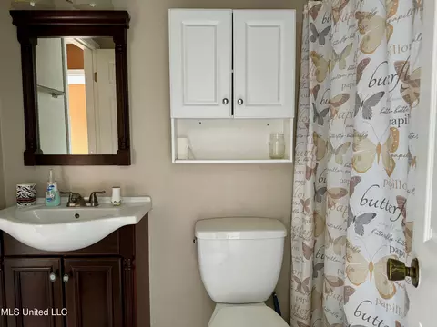 Bath - 215 Lakebend Cir, Brandon, MS 39042 photo 1 of 2