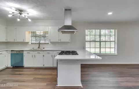Kitchen - 75 Terrapin Dr, Brandon, MS 39042 photo 9 of 9
