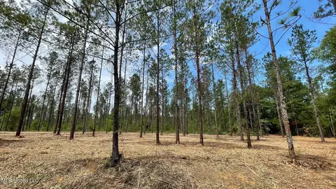 Ramsey Road, Saucier, MS 39574