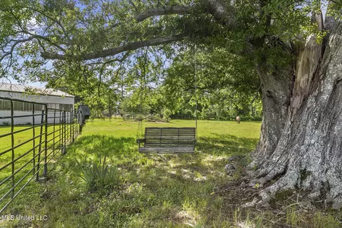 Exterior - 2381 Tank Rd, Terry, MS 39170 photo 9 of 13