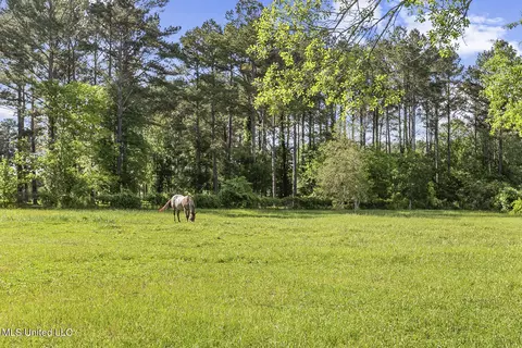 Other - 2381 Tank Rd, Terry, MS 39170 photo 7 of 23