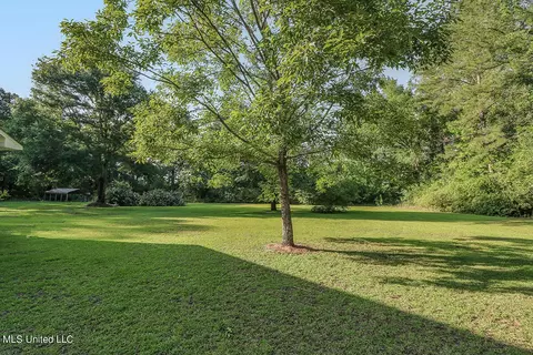 Exterior - 125 Lymon Havard Ln, Lucedale, MS 39452 photo 11 of 12