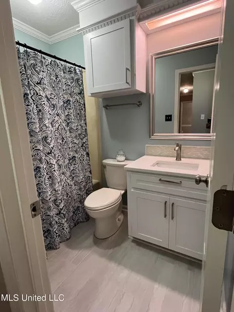 Bath - 328 Mockingbird Lane Ln, Madison, MS 39110 photo 2 of 3