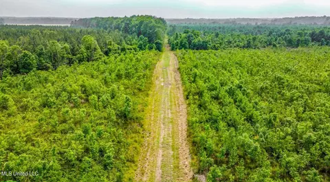 00 Smith Co Road 563, Pulaski, MS 39152