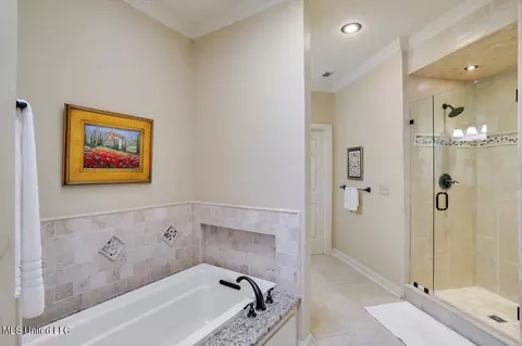 Bath - 1012 Northwind Ln, Brandon, MS 39047 photo 2 of 4