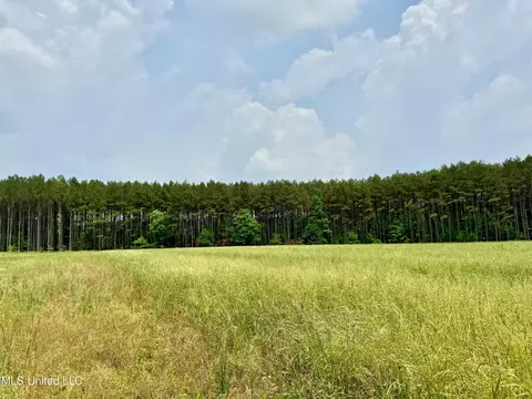 00001 Stump Bridge Rd, Canton, MS 39046 photo 10