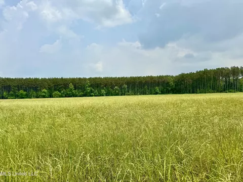 00001 Stump Bridge Rd, Canton, MS 39046