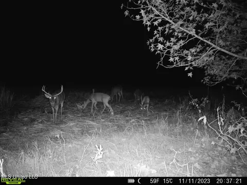 00001 Stump Bridge Rd, Canton, MS 39046 photo 12
