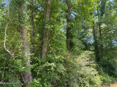 Hopoca Road, Carthage, MS 39051