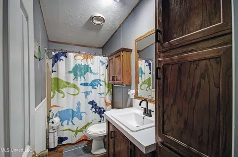 391 Harrell Rd, Pelahatchie, MS 39145 photo 21