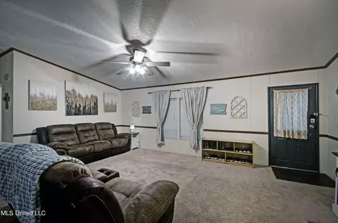 391 Harrell Rd, Pelahatchie, MS 39145 photo 6
