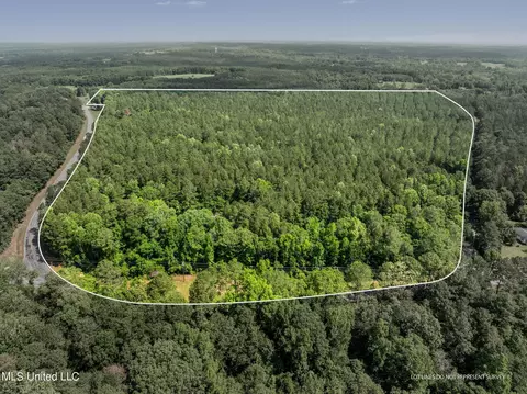 82 Acres Mol Shirley Sanford Rd, Seminary, MS 39479