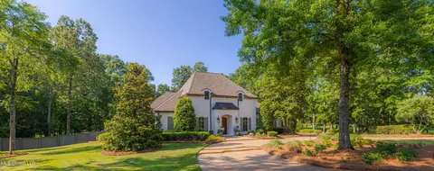Exterior - 123 Langdon Dr, Madison, MS 39110 photo 3 of 38