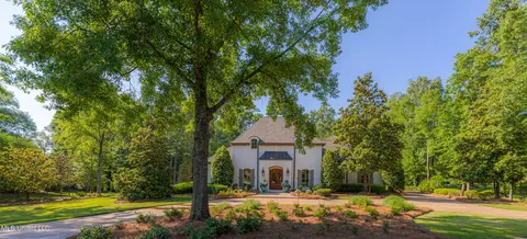 Other - 123 Langdon Dr, Madison, MS 39110 photo 3 of 50