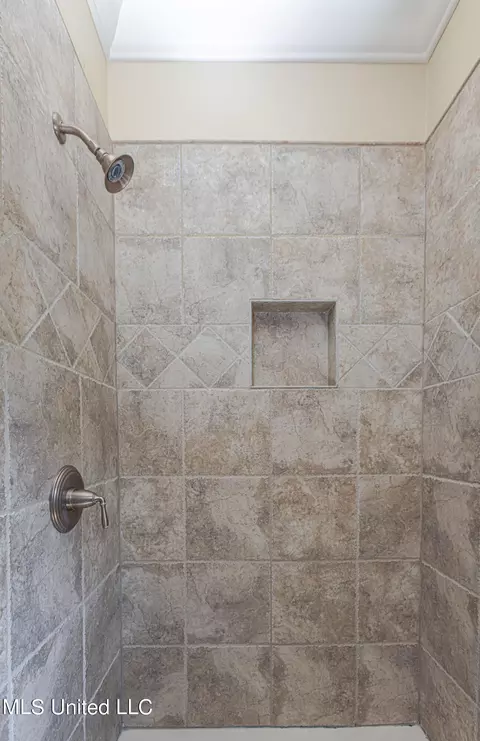 Bath - 123 Langdon Dr, Madison, MS 39110 photo 17 of 18