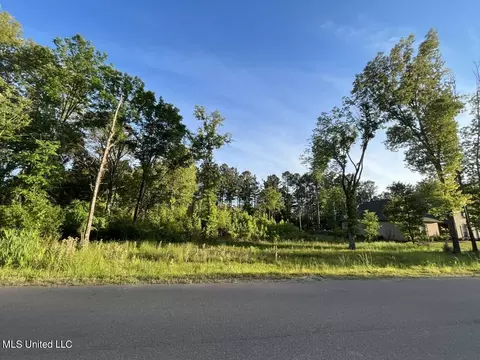 Oakside Trail, Madison, MS 39110 photo 2