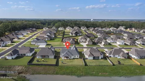 View/Area - 499 Crossvine Pl, Madison, MS 39110 photo 5 of 5