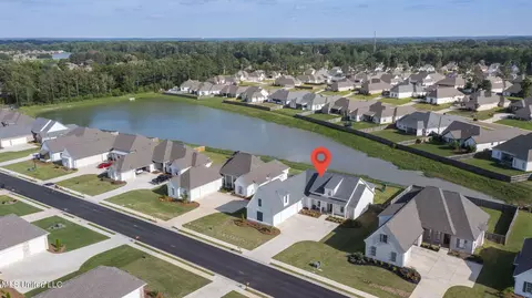 View/Area - 499 Crossvine Pl, Madison, MS 39110 photo 3 of 5